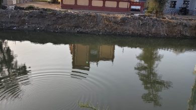 صورة ناقوس الخطر يدق .. تلاميذ مدرسة النجار في خطر ..والأهالي يطالبون بكوبرى مشاة لانقاذهم من كارثة